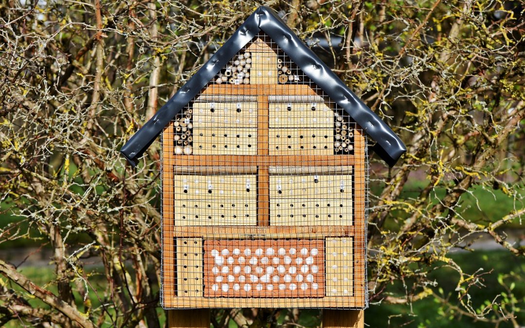 Was ist beim Kauf von Insektenhotel zu beachten?
