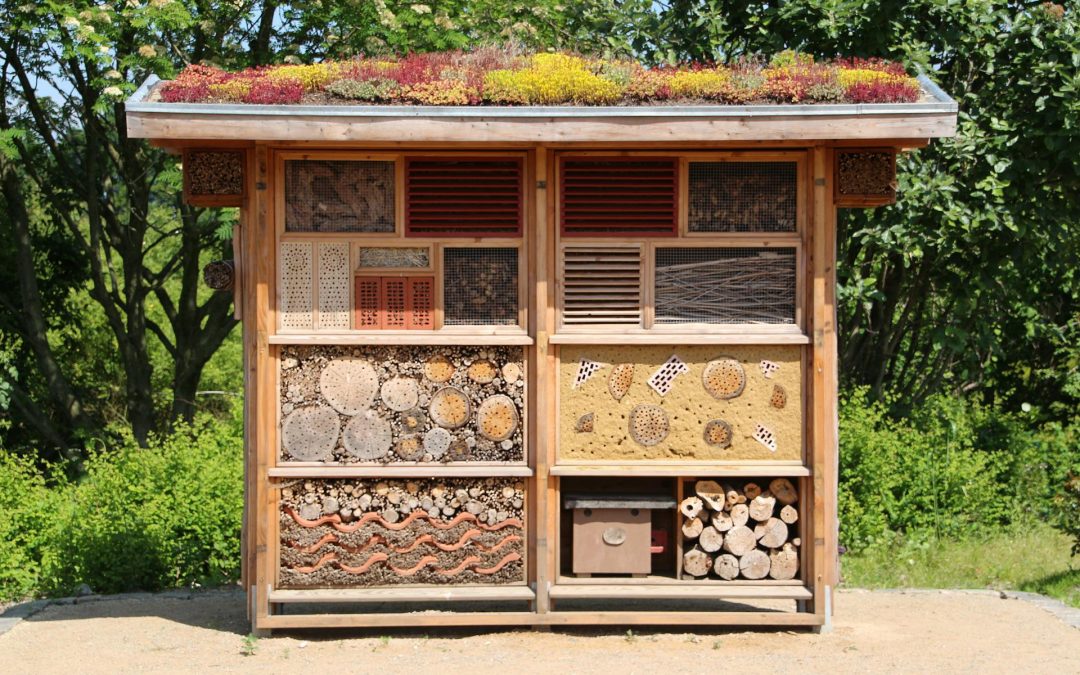 Insektenhotels – Hilfe für Bienen