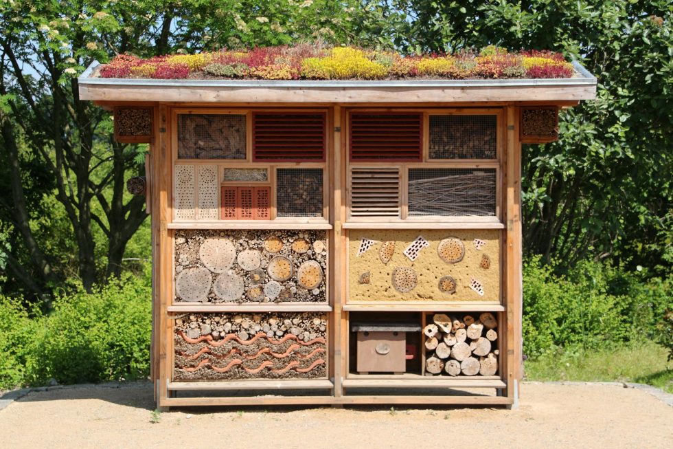 der-aufbau-eines-bienenstocks-bienen-gesundheit