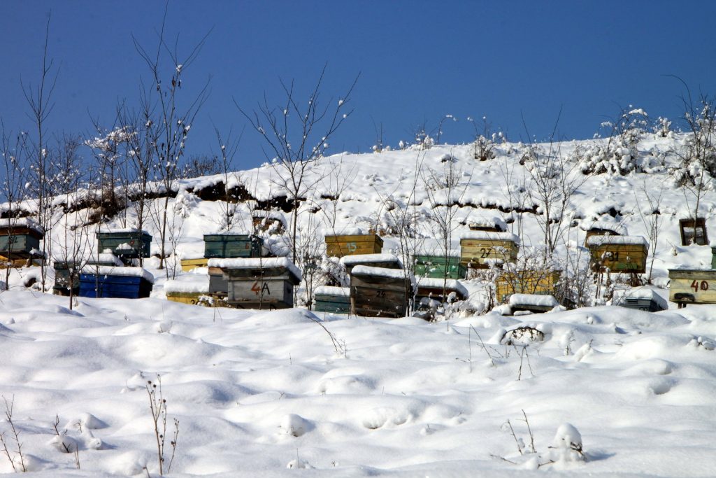 Bienenstöcke der Imkerei im Winter