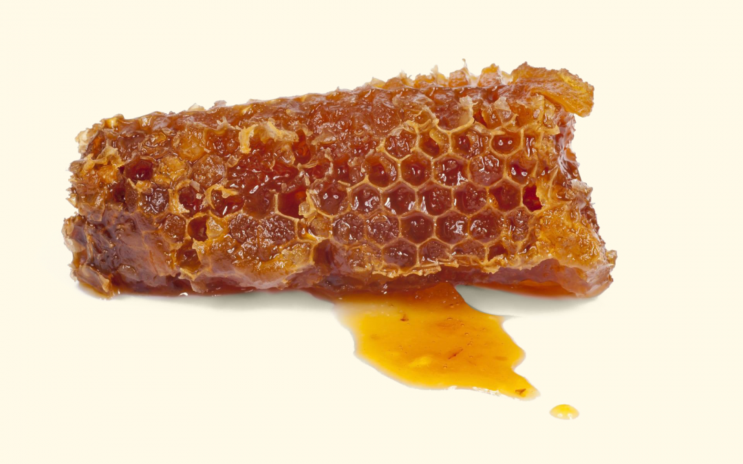 Honig aus Deutschland – Schmeckt er überall gleich?