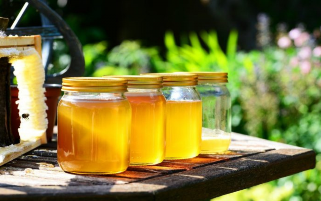 Milchsäurebakterien bei Bienen