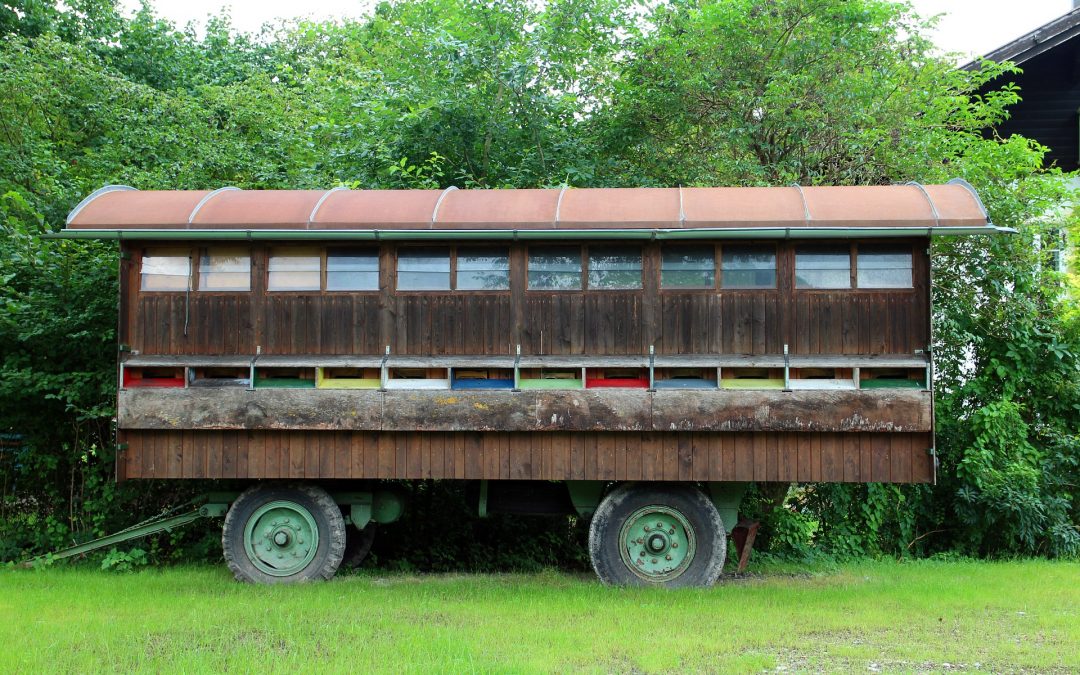 Welche Bienenbeute ist für Anfänger geeignet?
