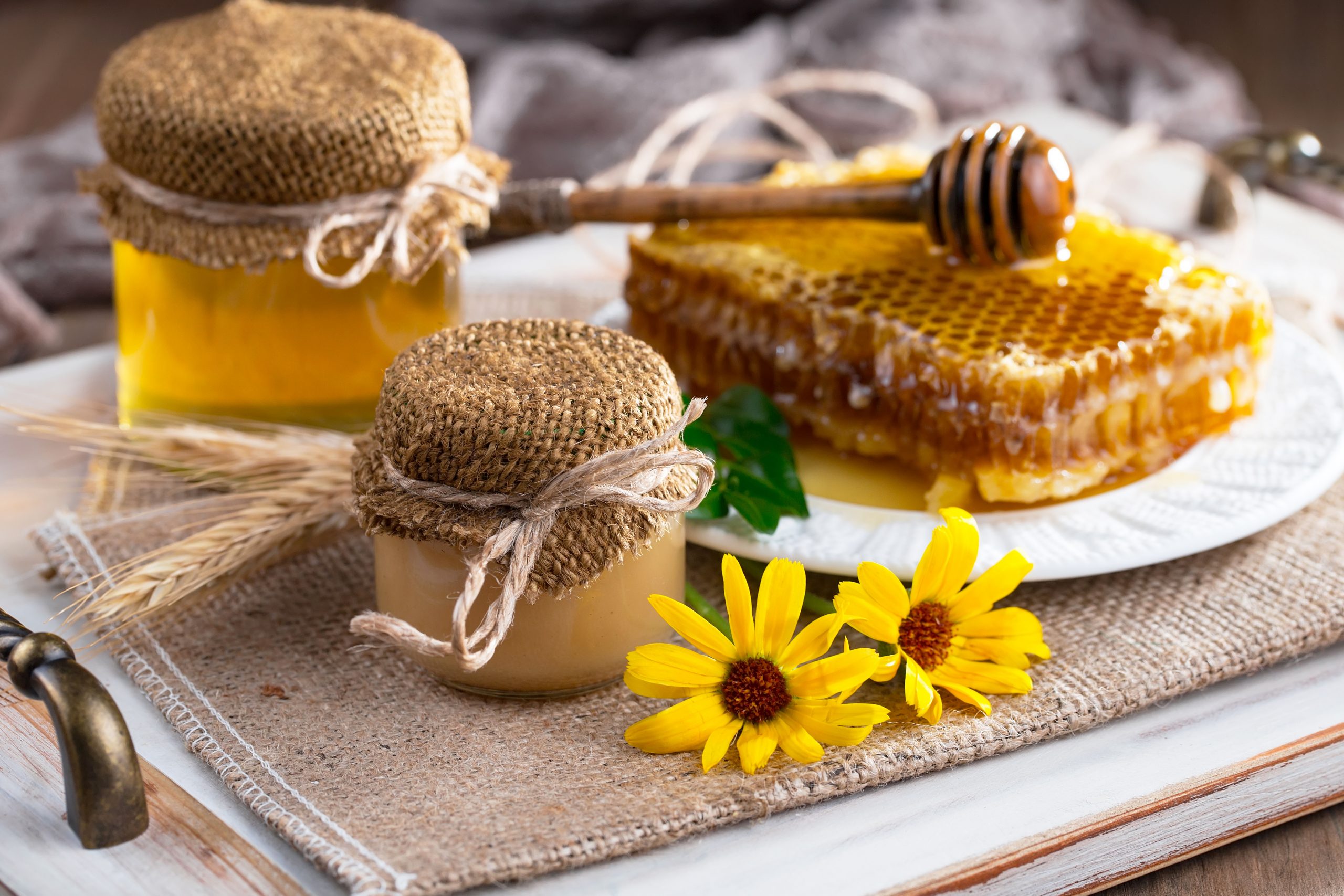 Frühlingshonig vs. Sommerhonig_Bienengesundheit Bild mit Honiggläsern und Honigwabe