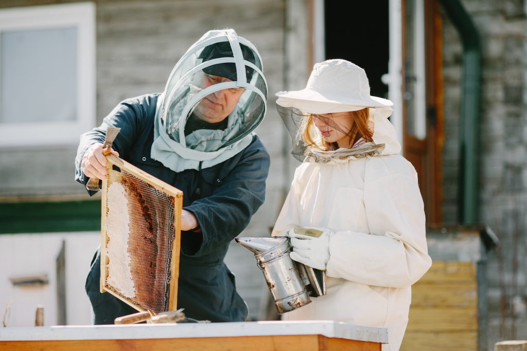 Zwei Imker:innen arbeiten im Bienenstand. Sie tragen Schutzanzüge.