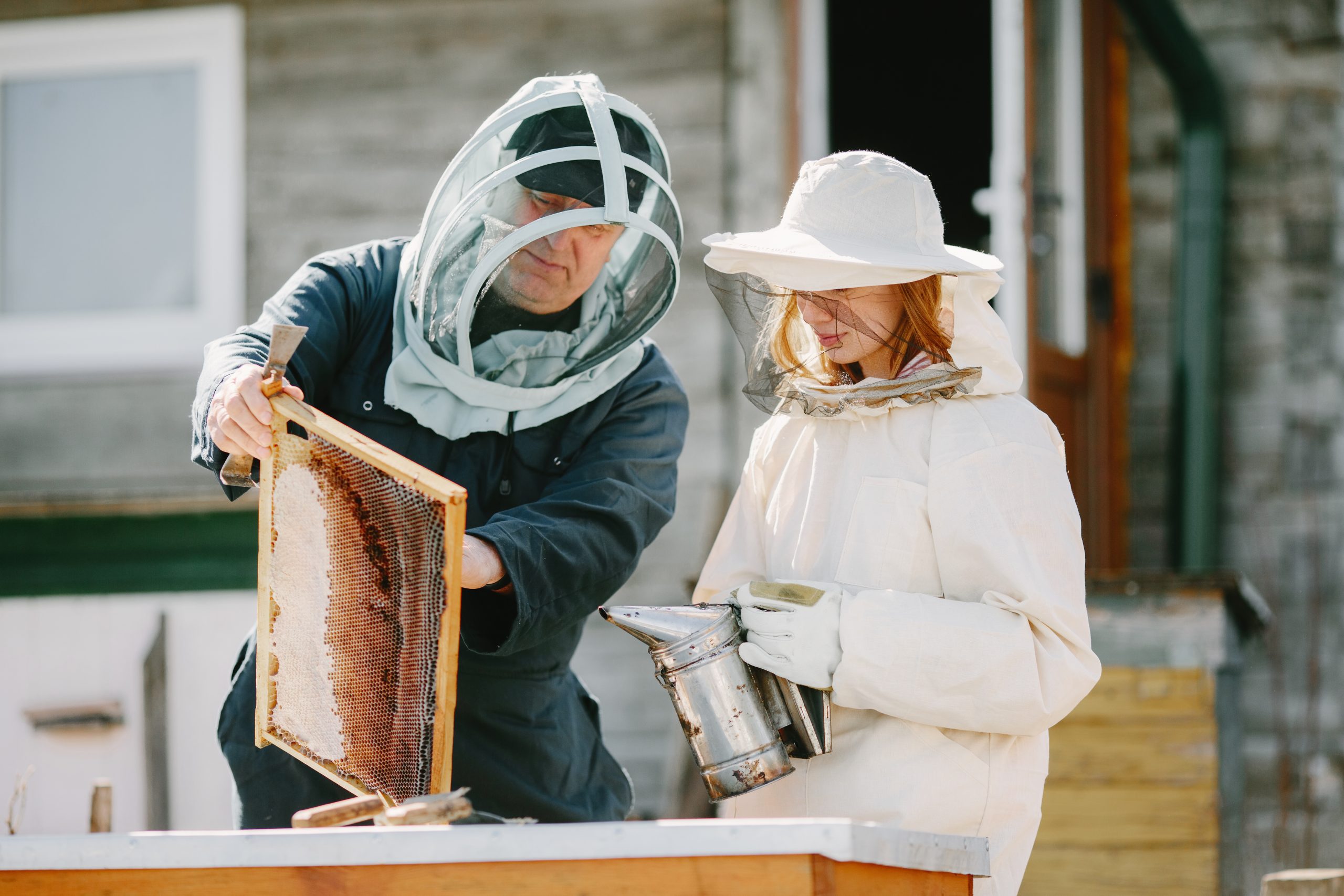 Zwei Imker:innen arbeiten im Bienenstand. Sie tragen Schutzanzüge.