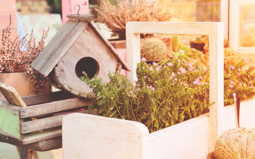 Imkern in der Stadt – Tipps für Balkon- und Dachimkerei