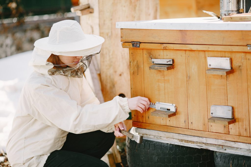 Sicherer Transport eines Bienenstocks durch einen Imker bei der Umsiedlung