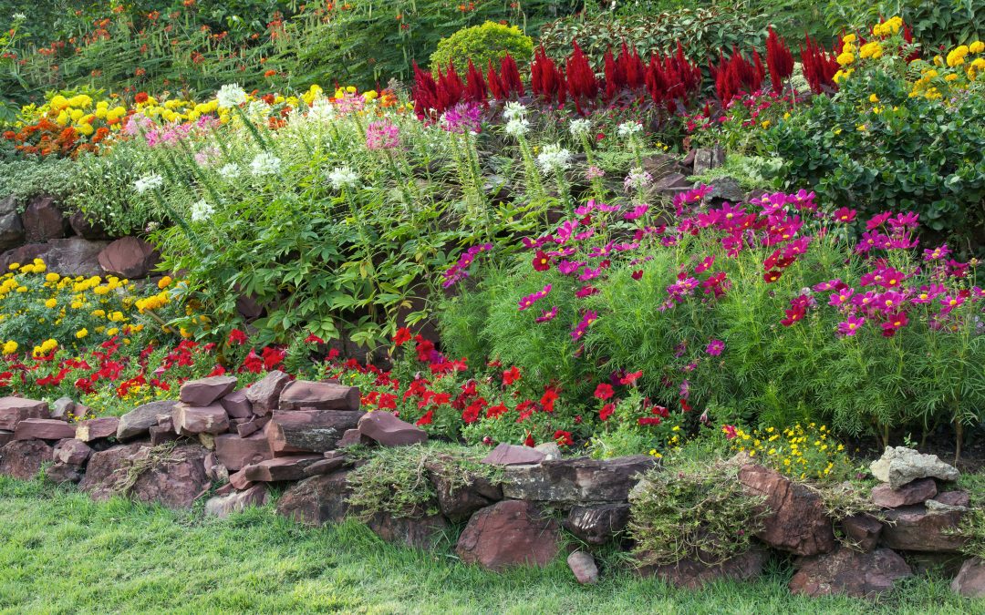 Imkerei im eigenen Garten – 10 Tipps und Tricks, auf die man achten sollte.